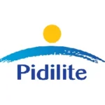 Service social media marketing pidilite